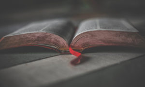 Cei mai influenti oameni din toate timpurile